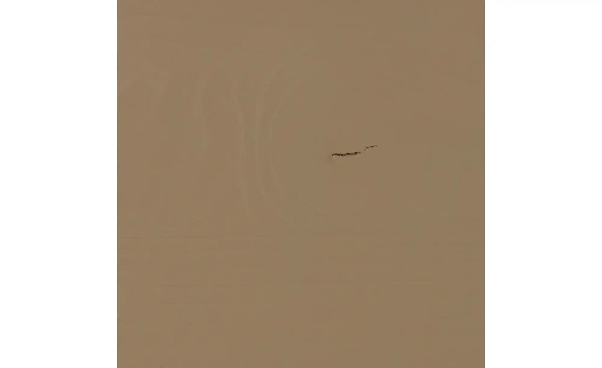 Thumbnail - WOOOD Buchstütze ¦ beige ¦ Massivholz ¦ Maße (cm): B: 40 H: 19 Accessoires > Dekoartikel - Höffner