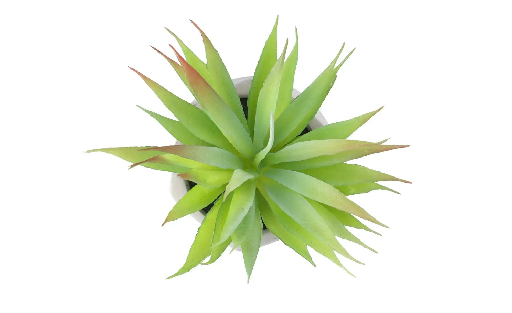 Kunstblume  Sukkulente ¦ grün ¦ Kunststoff,Schaumstoff,Stein ¦ Maße (cm): H günstig online kaufen