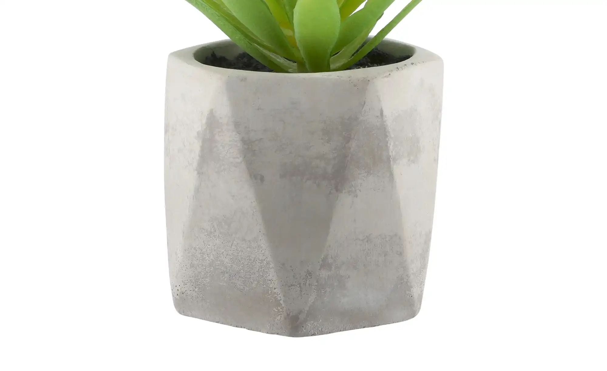 Thumbnail - Kunstblume  Sukkulente ¦ grün ¦ Kunststoff,Schaumstoff,Stein ¦ Maße (cm): H: 14  Ø: 7 Accessoires > Kunstblumen - Höffne...