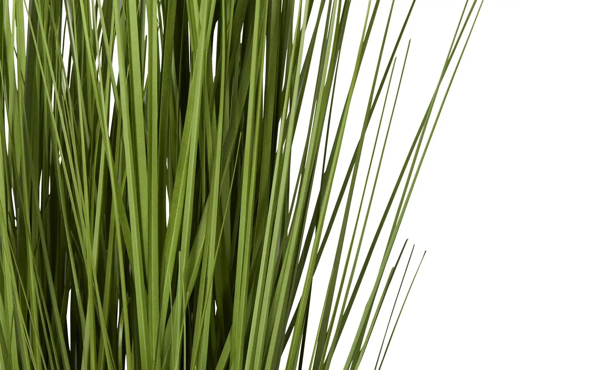 Grasbüschel getopft   ¦ grün ¦ Kunststoff,Schaumstoff,Zement ¦ Maße (cm): H günstig online kaufen