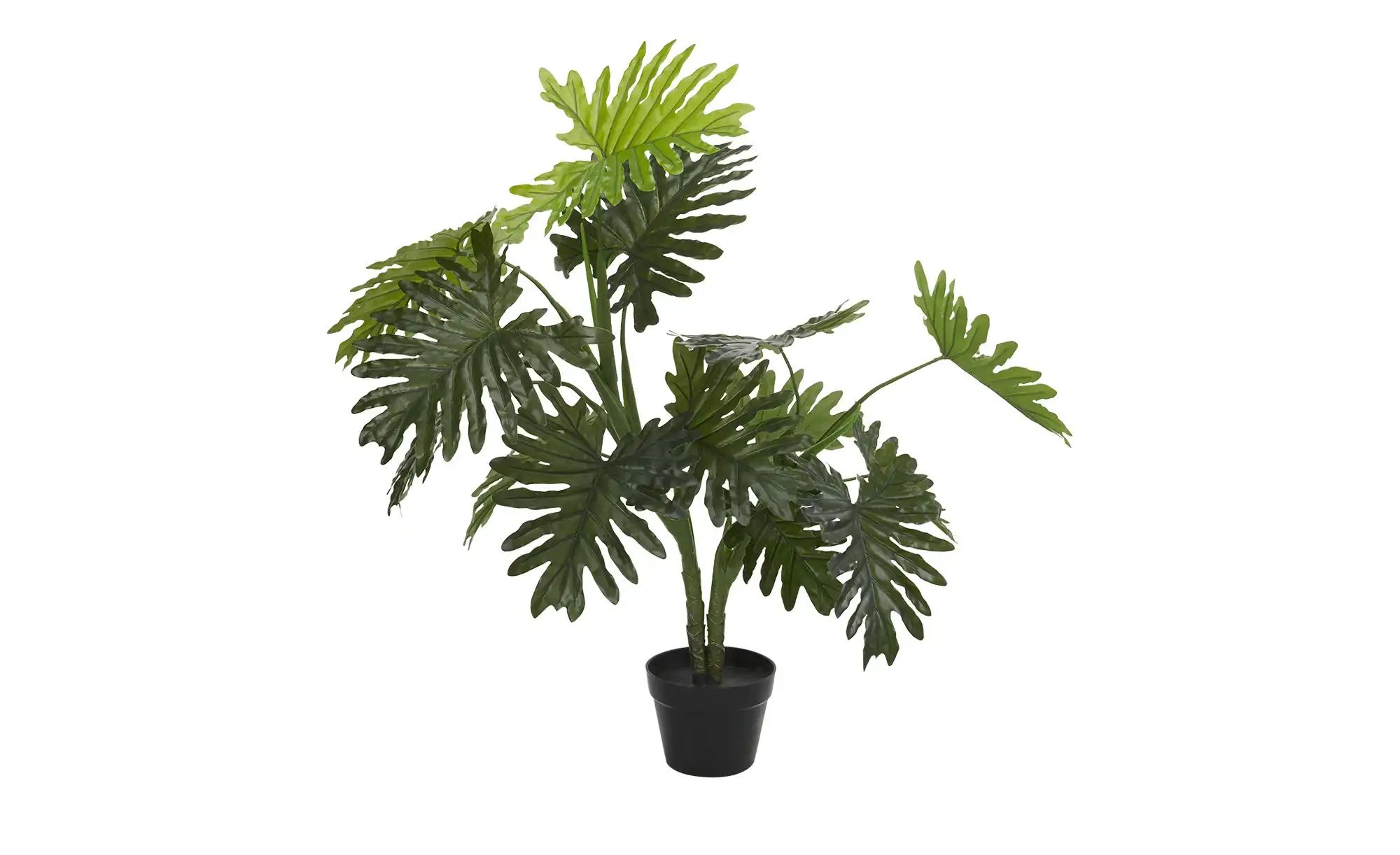 Palme getopft   ¦ grün ¦ Kunststoff ¦ Maße (cm): H: 100 Accessoires > Kunst günstig online kaufen