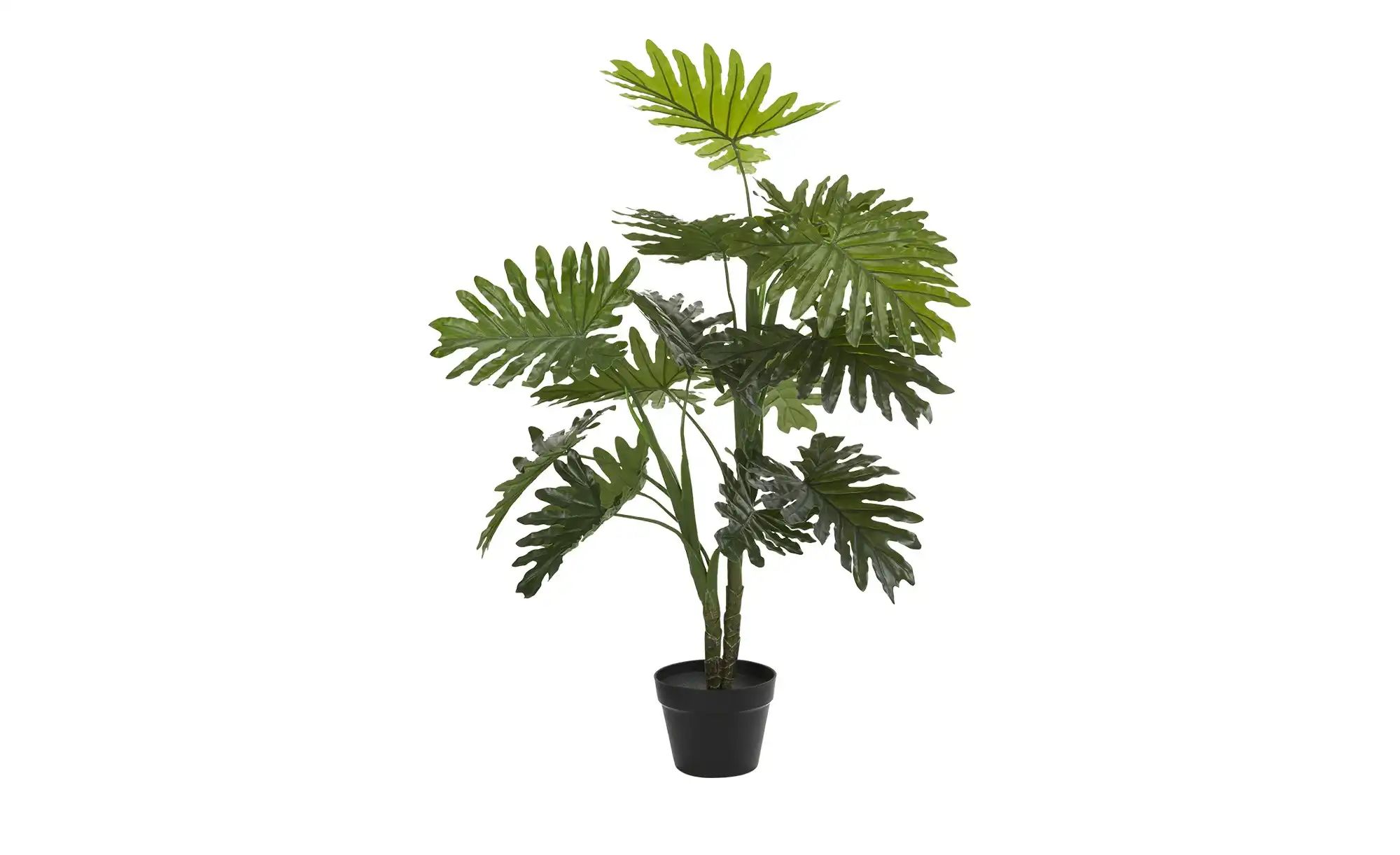 Palme getopft   ¦ grün ¦ Kunststoff ¦ Maße (cm): H: 100 Accessoires > Kunst günstig online kaufen