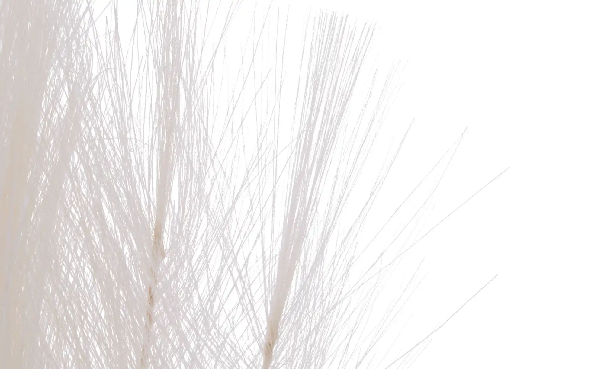 Pampaswedel   ¦ rosa/pink ¦ Kunststoff,Naturfaser ¦ Maße (cm): B: 18 H: 110 günstig online kaufen