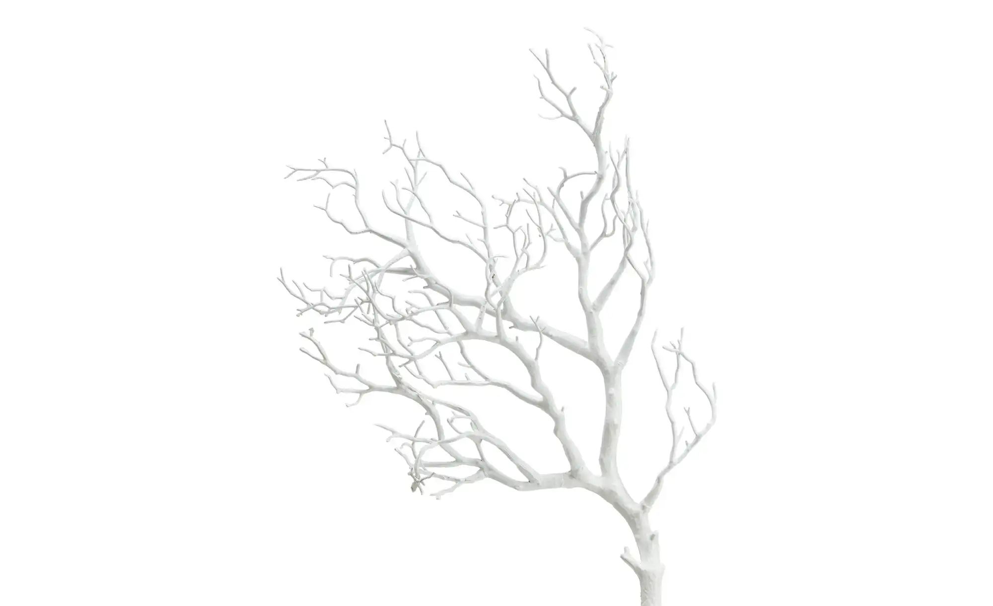 Thumbnail - Deko Ast ¦ weiß ¦ Kunststoff ¦ Maße (cm): B: 48 H: 23 Accessoires > Kunstblumen - Höffner