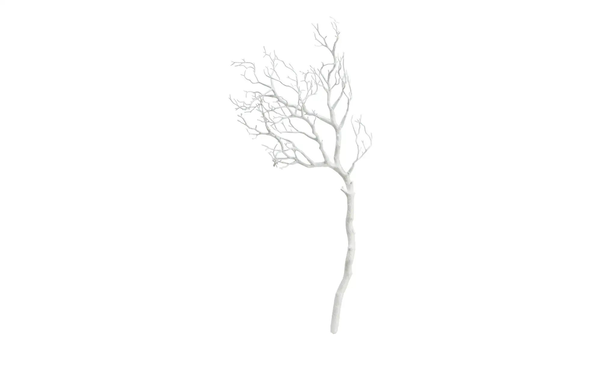 Deko Ast   ¦ weiß ¦ Kunststoff ¦ Maße (cm): B: 48 H: 23 Accessoires > Kunst günstig online kaufen