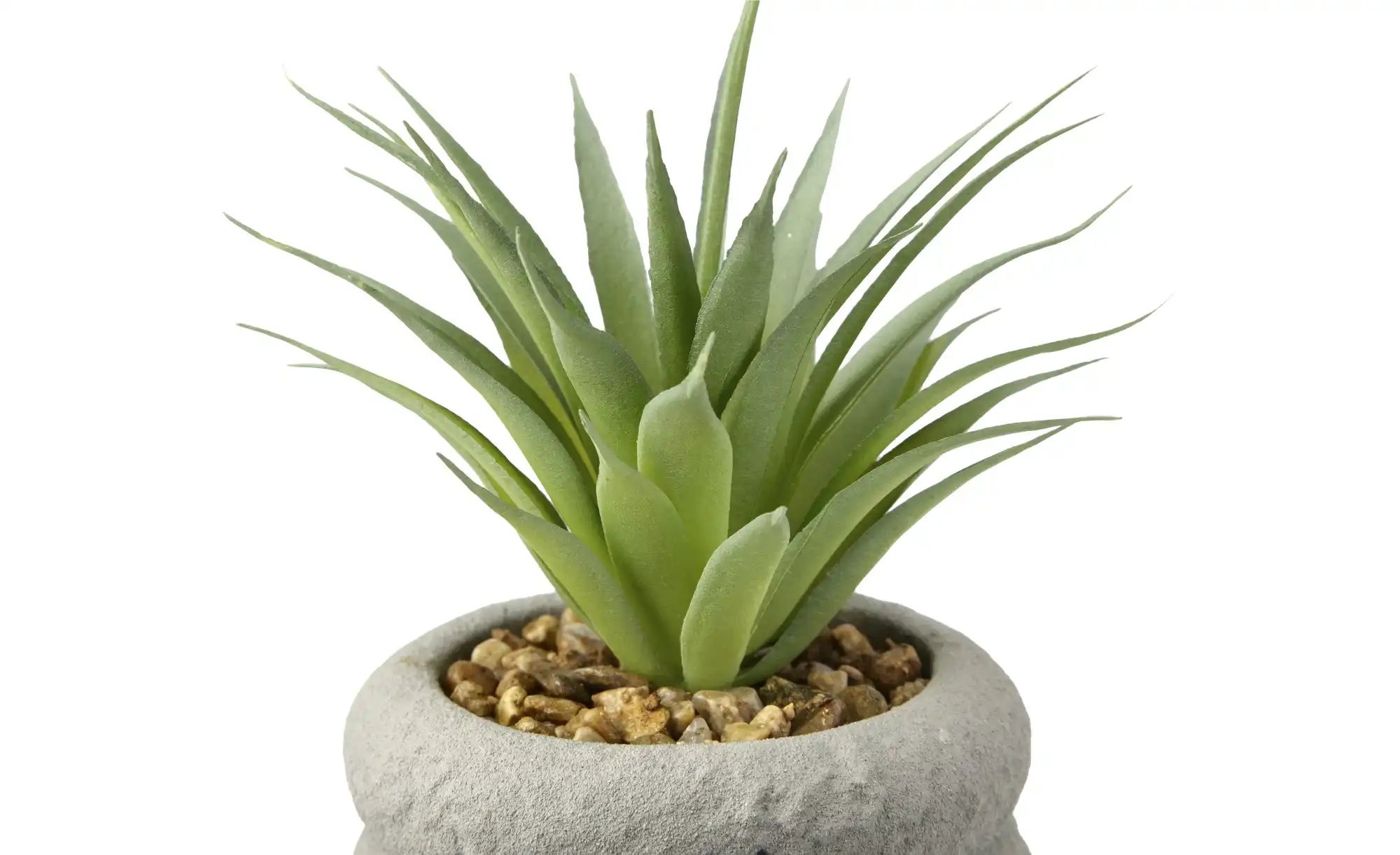 Thumbnail - HOME STORY Sukkulente getopft   ¦ grün ¦ Kunststoff,Zement,Stein ¦ Maße (cm): H: 15  Ø: 8.5 Accessoires > Kunstblumen - ...