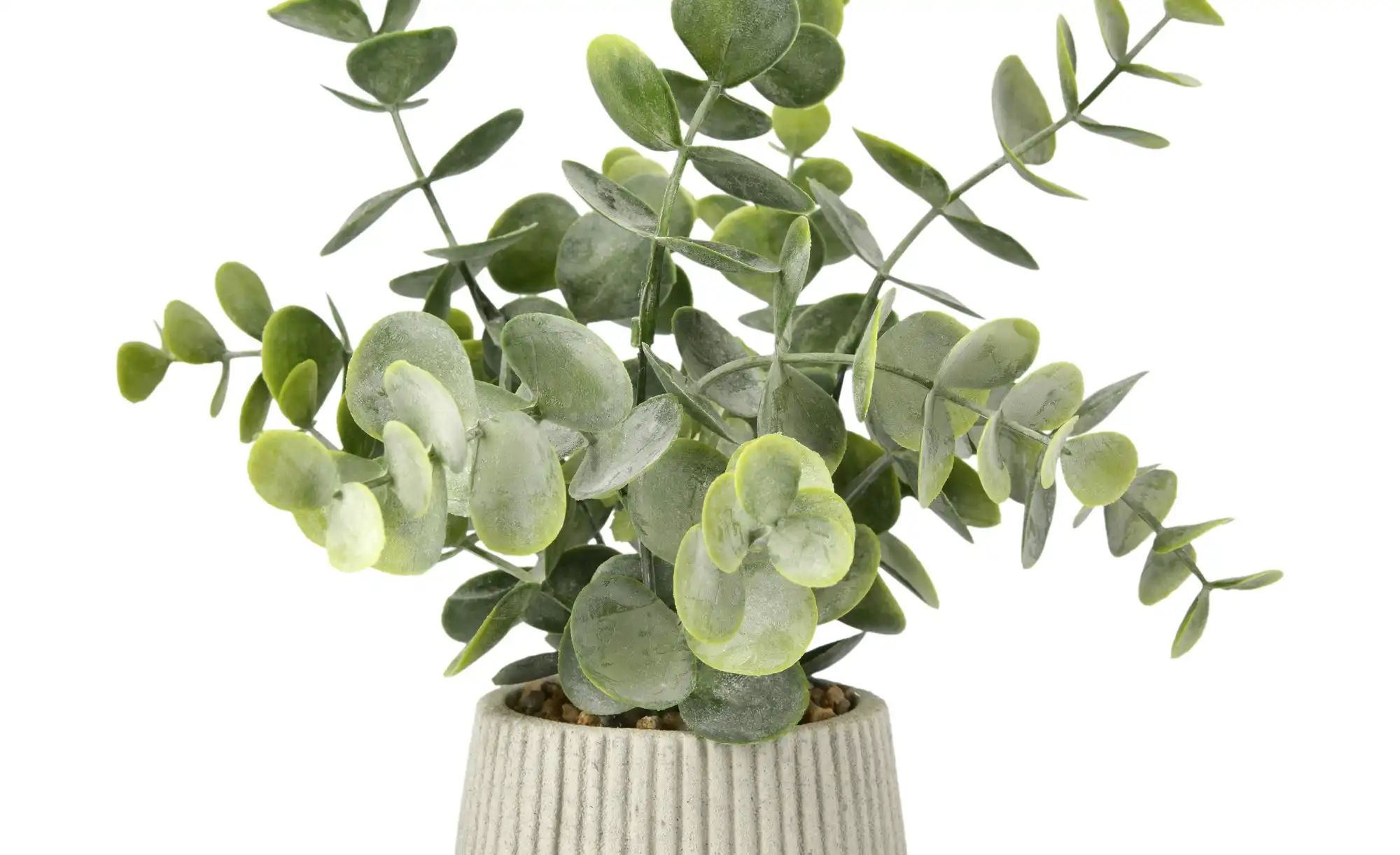 Thumbnail - HOME STORY Sukkulente getopft   ¦ grün ¦ Kunststoff,Zement,Stein ¦ Maße (cm): H: 22  Ø: 9.5 Accessoires > Kunstblumen - ...