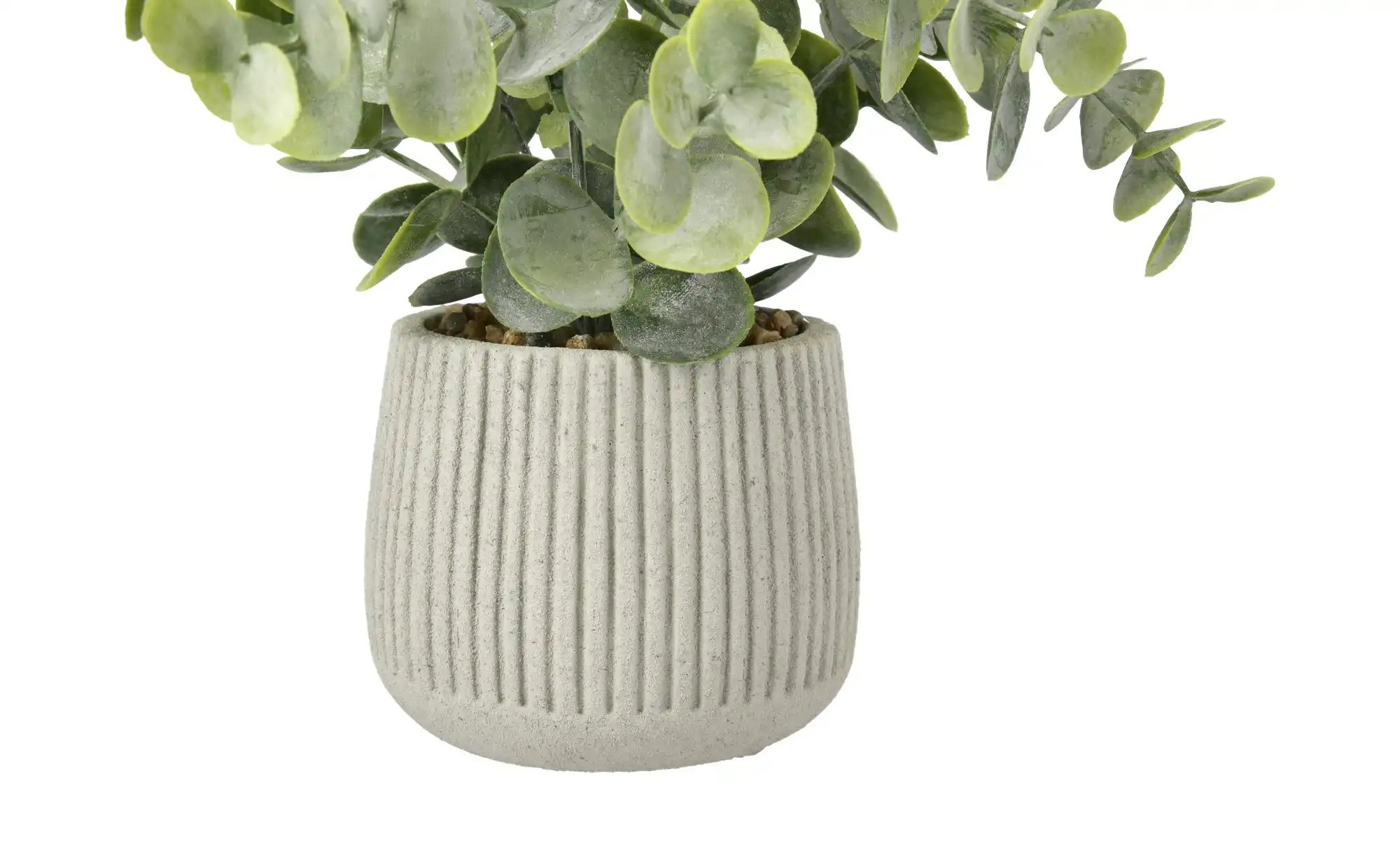 Thumbnail - HOME STORY Sukkulente getopft   ¦ grün ¦ Kunststoff,Zement,Stein ¦ Maße (cm): H: 22  Ø: 9.5 Accessoires > Kunstblumen - ...