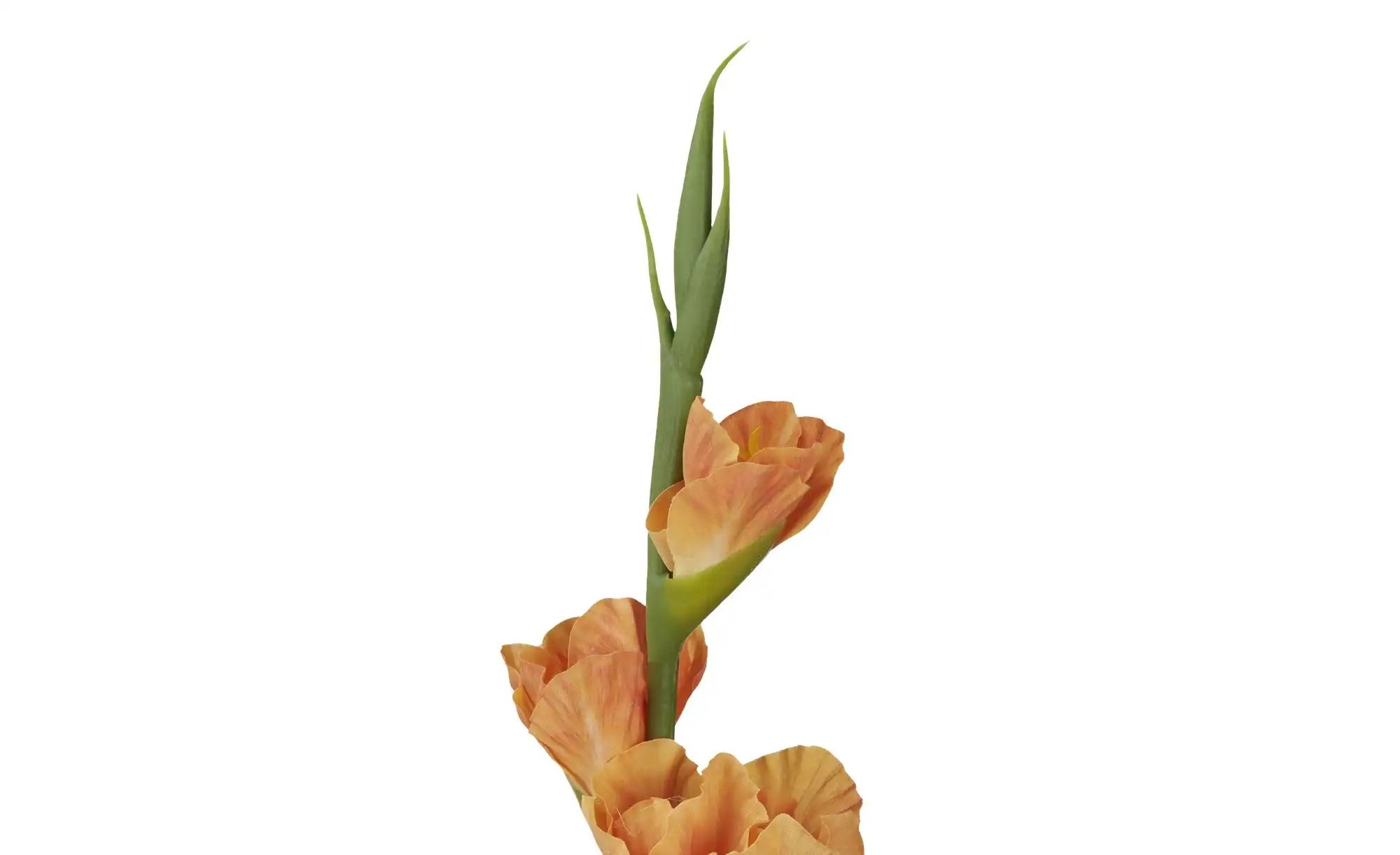 Thumbnail - Kunstblume Gladiole ¦ orange ¦ Kunststoff,Eisendraht ¦ Maße (cm): H: 84 Accessoires > Kunstblumen - Höffner