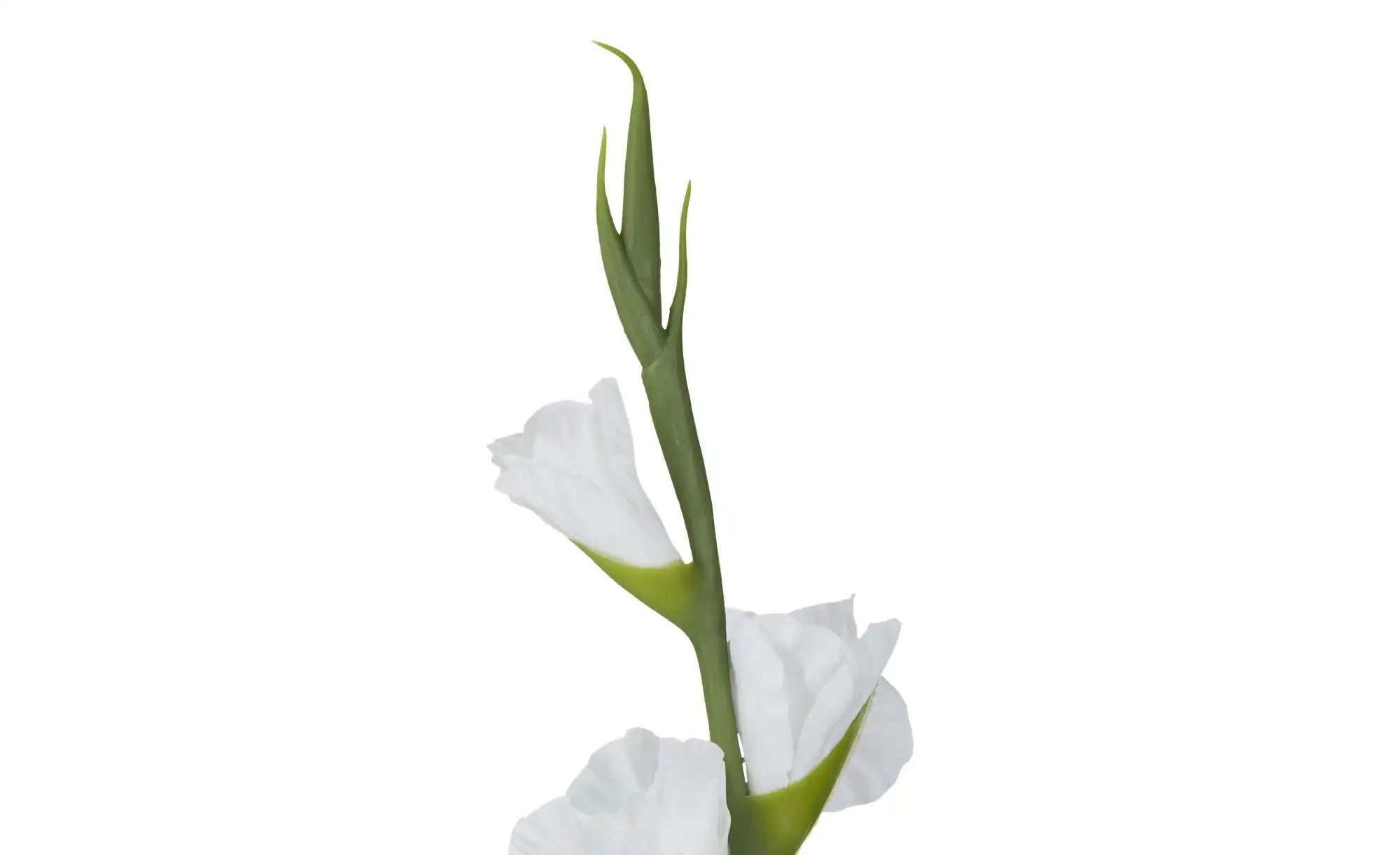 Kunstblume  Gladiole   ¦ weiß ¦ Kunststoff,Eisendraht ¦ Maße (cm): H: 84 Ac günstig online kaufen