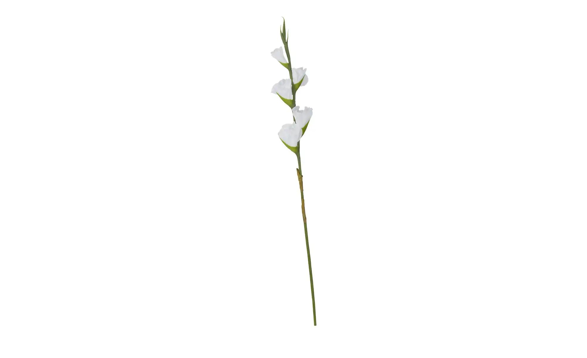 Kunstblume  Gladiole   ¦ weiß ¦ Kunststoff,Eisendraht ¦ Maße (cm): H: 84 Ac günstig online kaufen