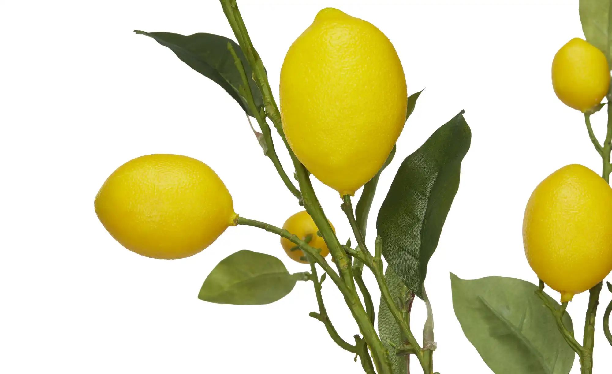 Zitronenzweig   ¦ gelb ¦ Kunststoff,Eisendraht ¦ Maße (cm): H: 104 Accessoi günstig online kaufen