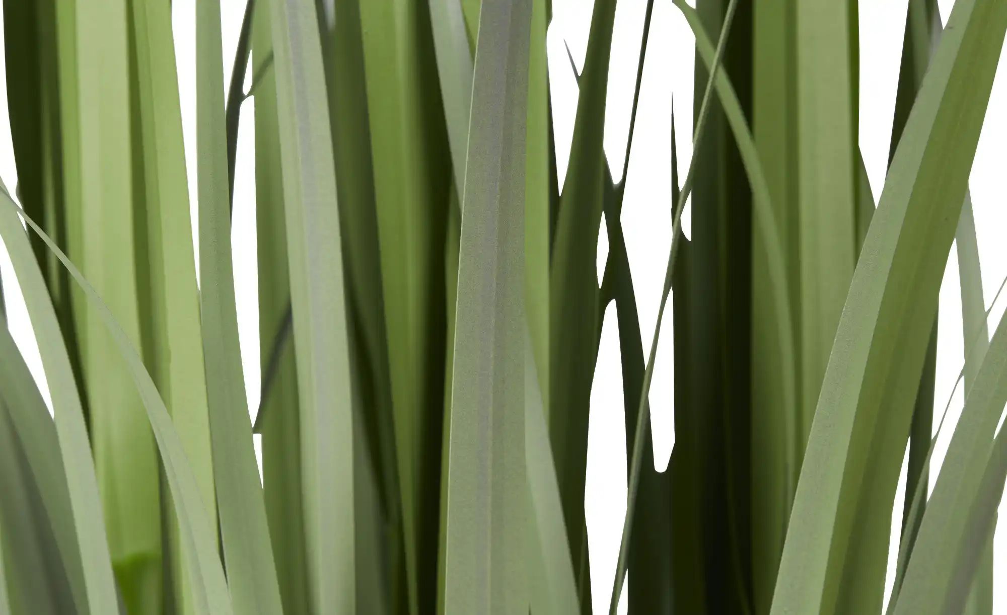 Grasbüschel getopft   ¦ grün ¦ Kunststoff ¦ Maße (cm): H: 120  Ø: 35 Access günstig online kaufen