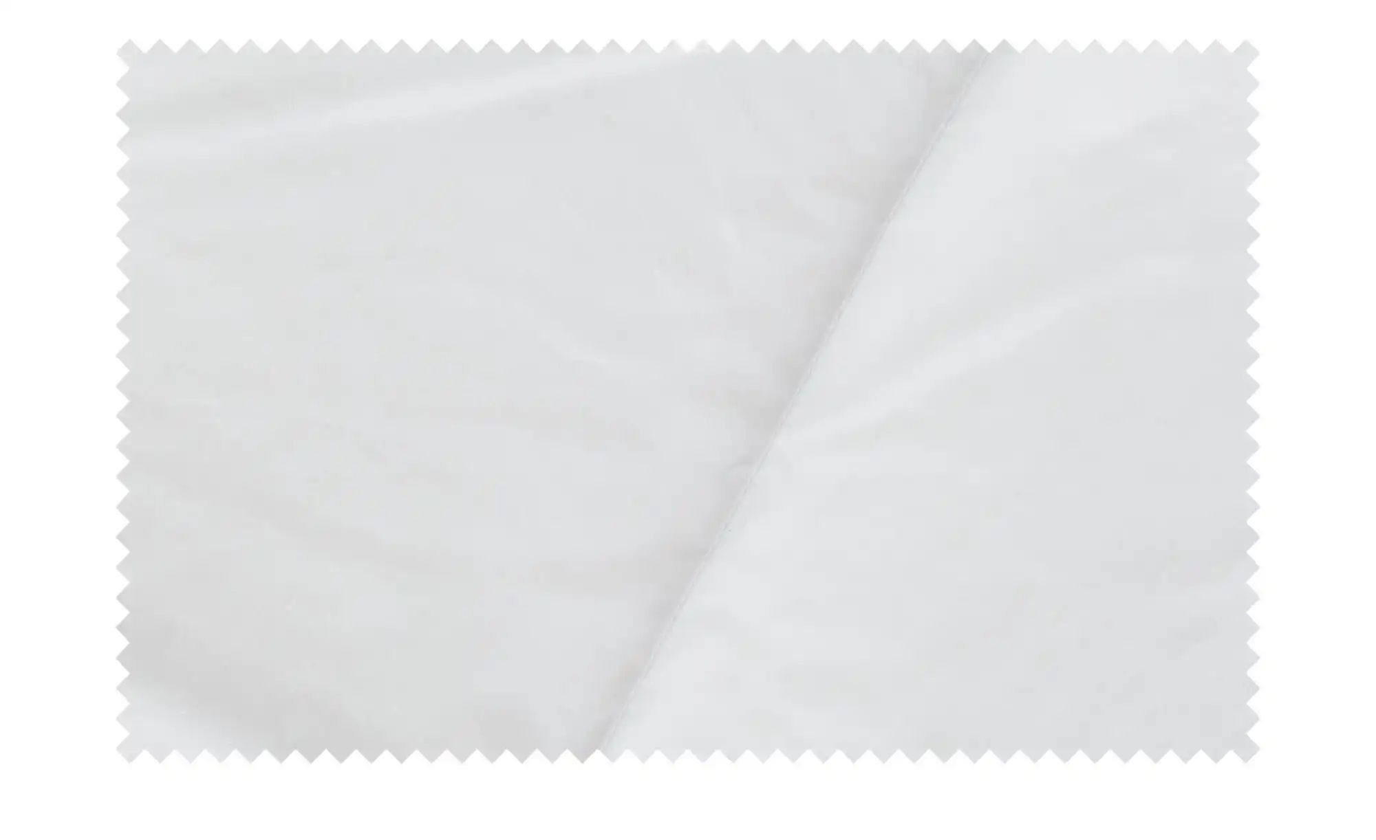Dunlopillo Dauneneinziehdecke  Balance ¦ weiß ¦ Maße (cm): B: 155 Bettwaren günstig online kaufen
