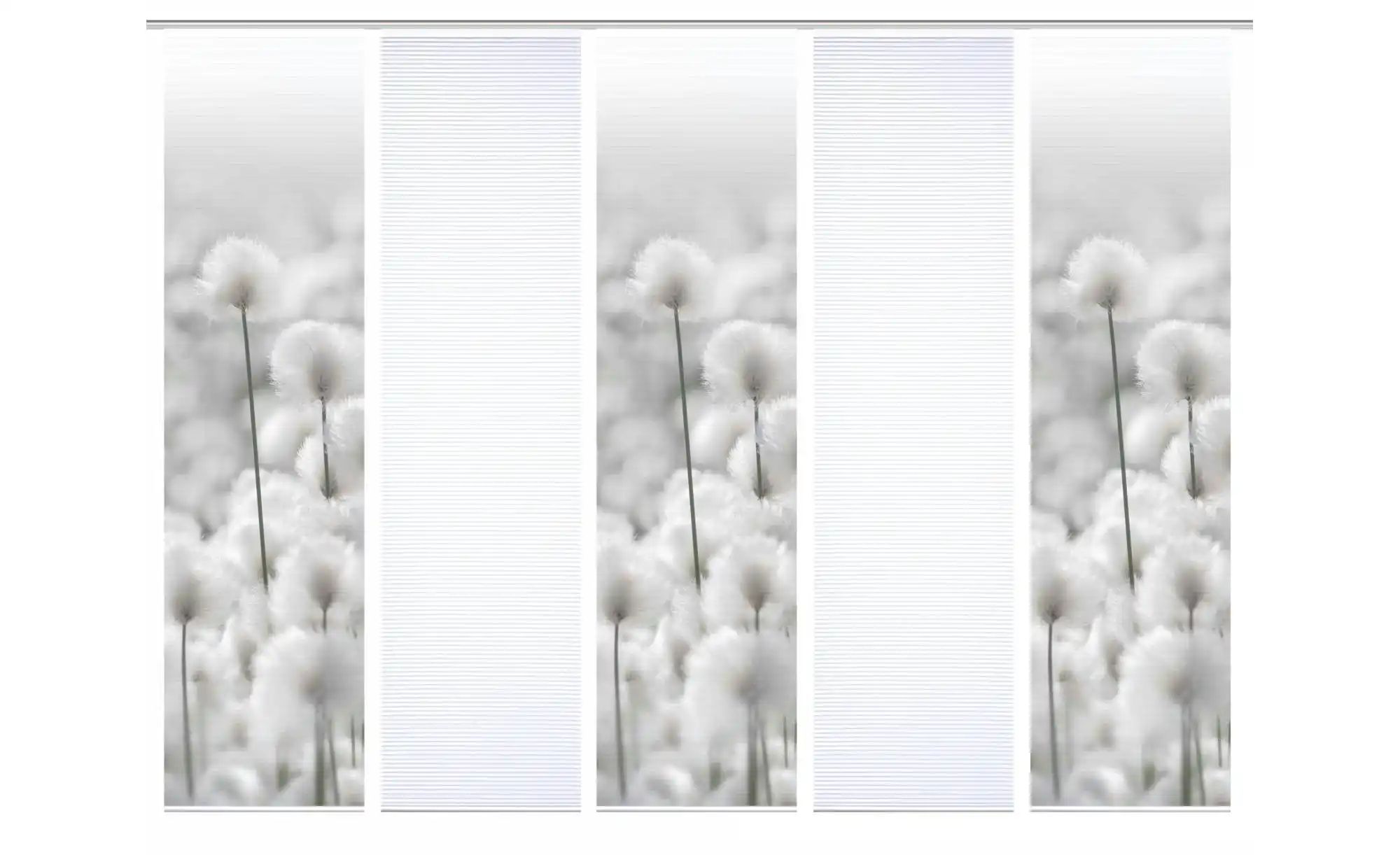 HOME in green Schiebevorhang   ¦ grau ¦ Synthetik ¦ Maße (cm): B: 60 H: 245 günstig online kaufen