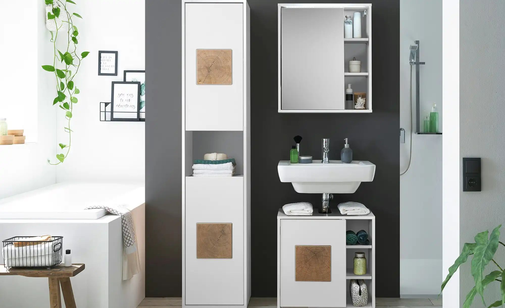 Spiegelschrank  Gremminer See ¦ weiß ¦ Maße (cm): B: 60 H: 70 T: 20.0 Schrä günstig online kaufen