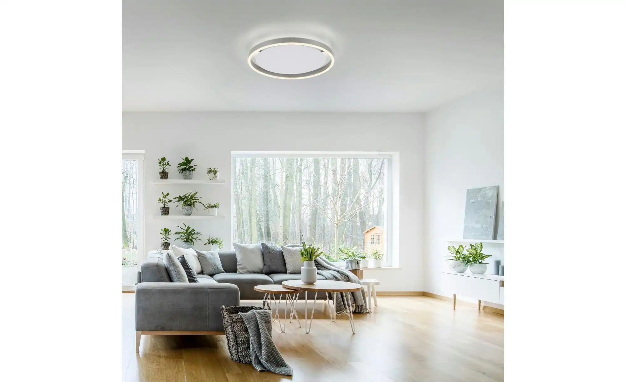 Paul Neuhaus Deckenleuchte   ¦ silber ¦ Maße (cm): B: 40 H: 6 T: 40.0 Lampe günstig online kaufen
