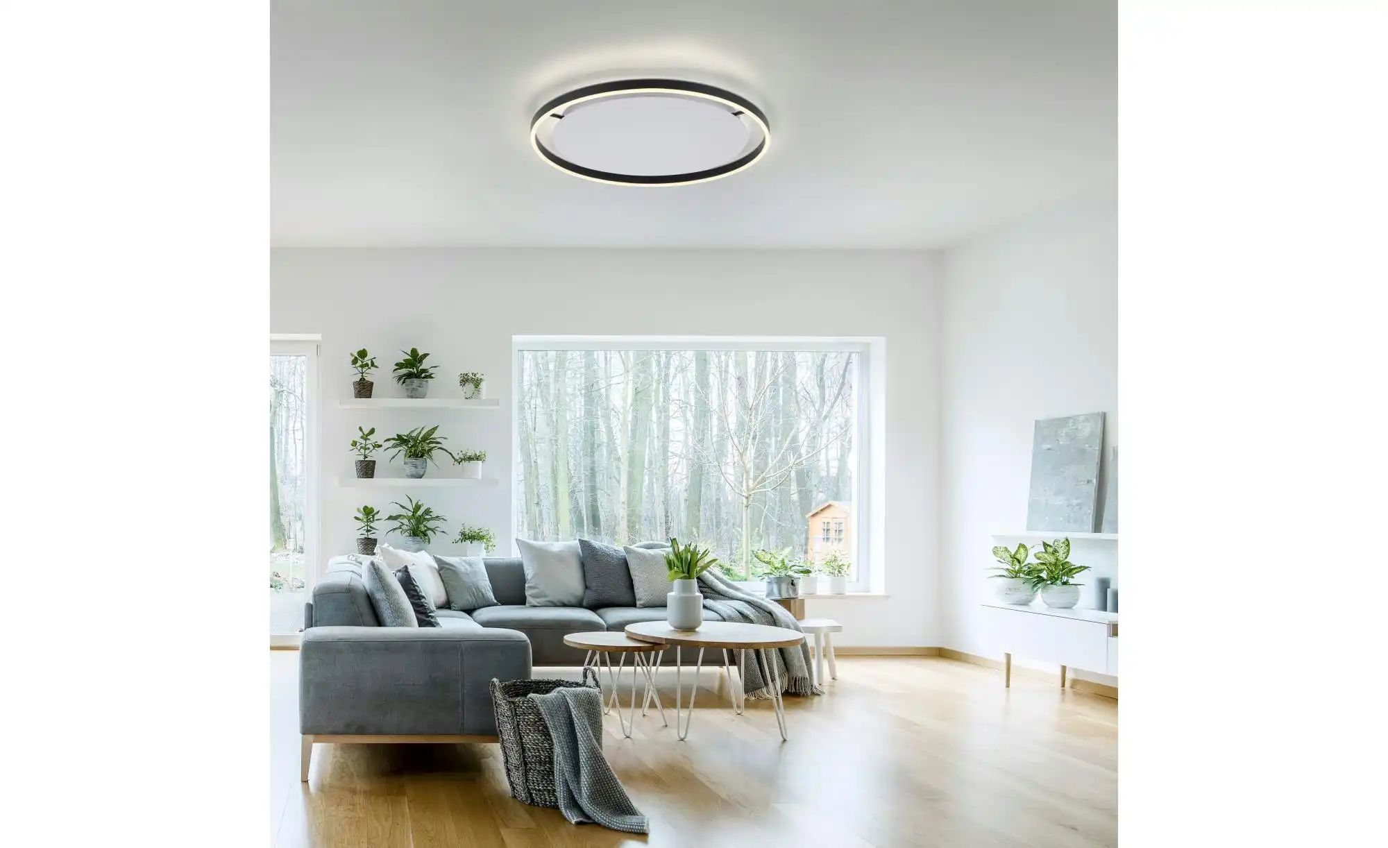 Paul Neuhaus Deckenleuchte   ¦ grau ¦ Maße (cm): B: 58,5 H: 5,3 T: 58.5 Lam günstig online kaufen