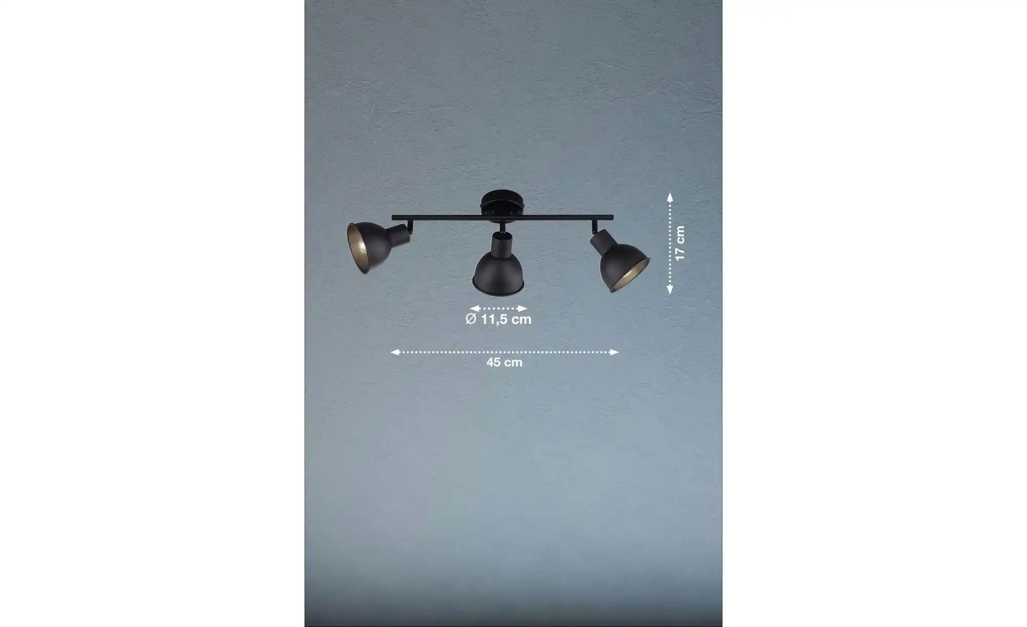 Fischer-Honsel Deckenleuchte   ¦ schwarz ¦ Maße (cm): B: 11,5 H: 17 T: 45.0 günstig online kaufen