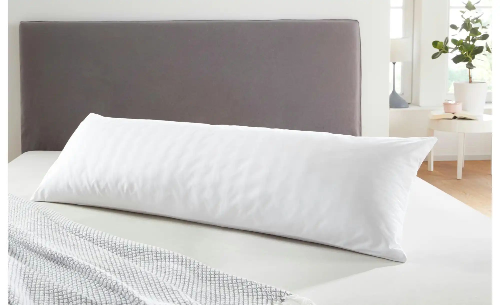 IRISETTE Daunensteppbett extra warm   ¦ weiß ¦ Maße (cm): B: 155 H: 8 Bettw günstig online kaufen