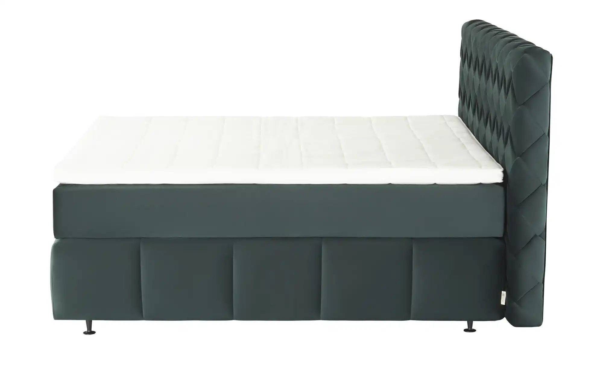 Jette Home Boxspringbett  Braid ¦ grün ¦ Maße (cm): B: 202 H: 123 Betten > günstig online kaufen