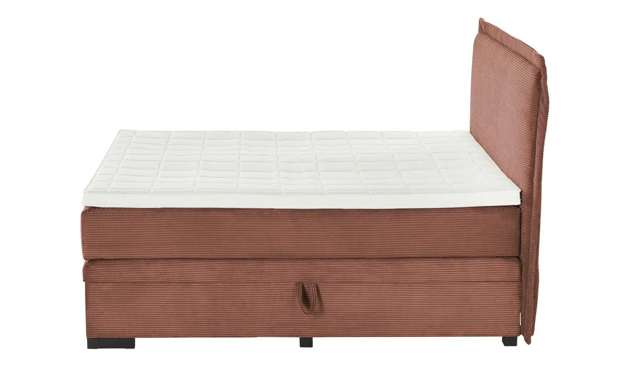 Jette Home Boxspringbett mit Bettkasten  Adapt ¦ braun ¦ Maße (cm): B: 202 günstig online kaufen