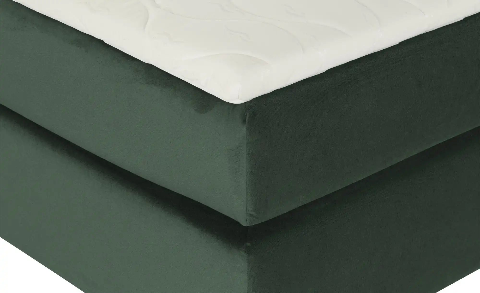 Boxspringbett  Wind ¦ grün ¦ Maße (cm): B: 160 H: 152 Betten > Boxspringbet günstig online kaufen