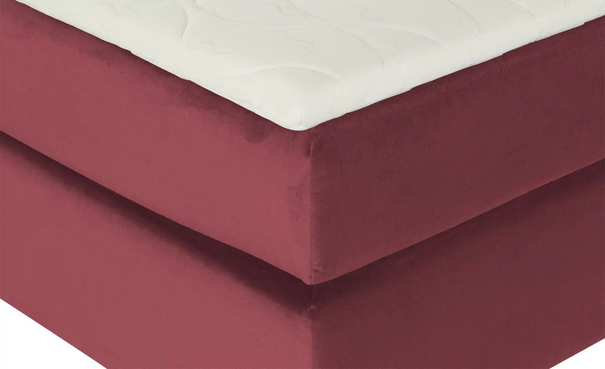 Boxspringbett  Wind ¦ rot ¦ Maße (cm): B: 160 H: 152 Betten > Boxspringbett günstig online kaufen