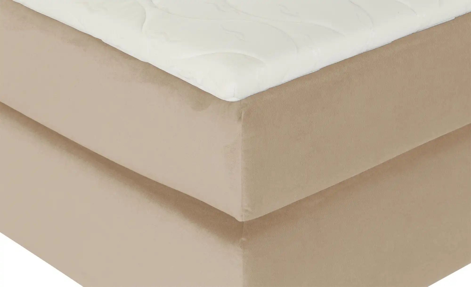 Boxspringbett  Wind ¦ beige ¦ Maße (cm): B: 160 H: 152 Betten > Boxspringbe günstig online kaufen