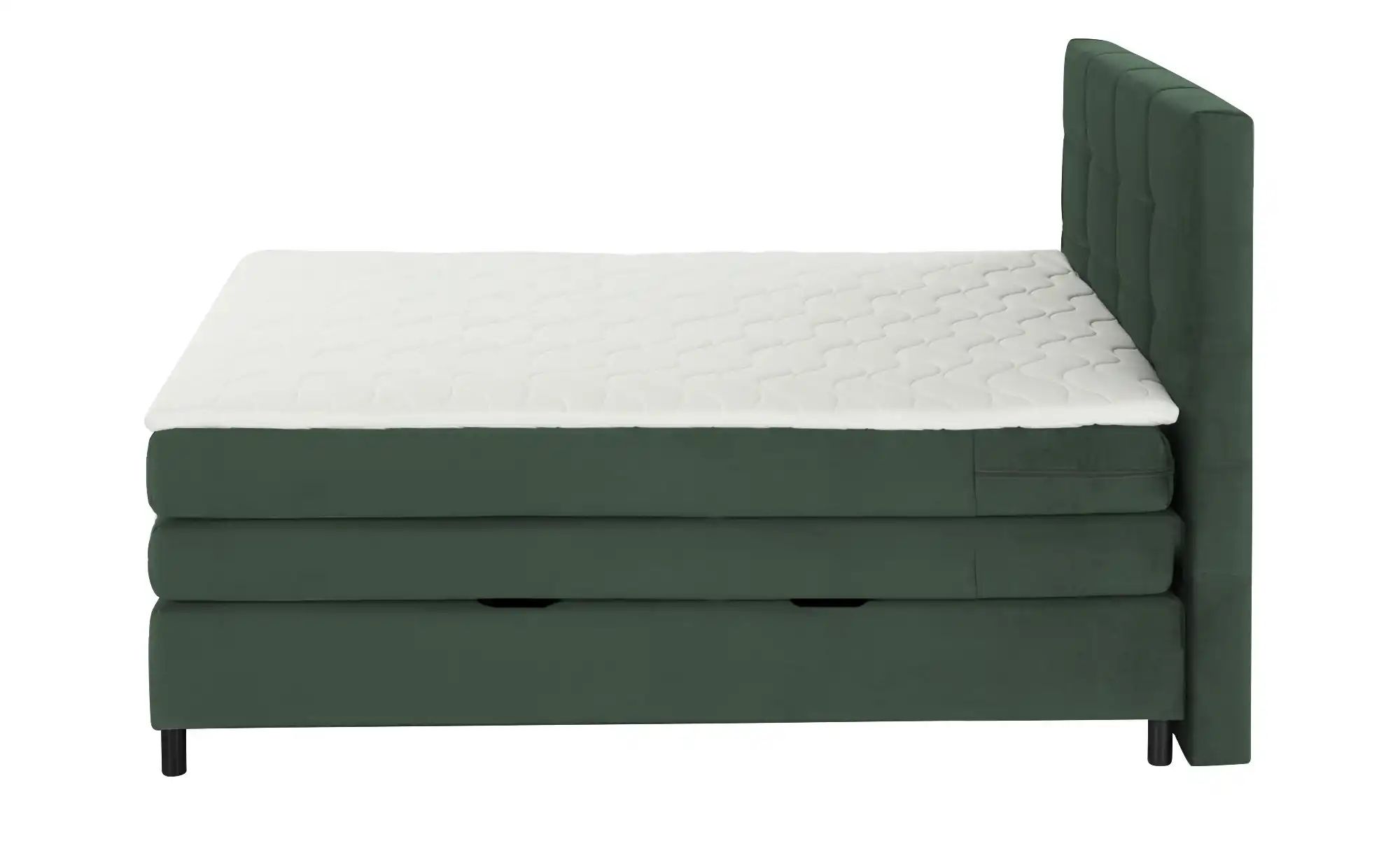 Thumbnail - Boxspringbett  Wind ¦ grün ¦ Maße (cm): B: 160 H: 152 Betten > Boxspringbetten - Höffner