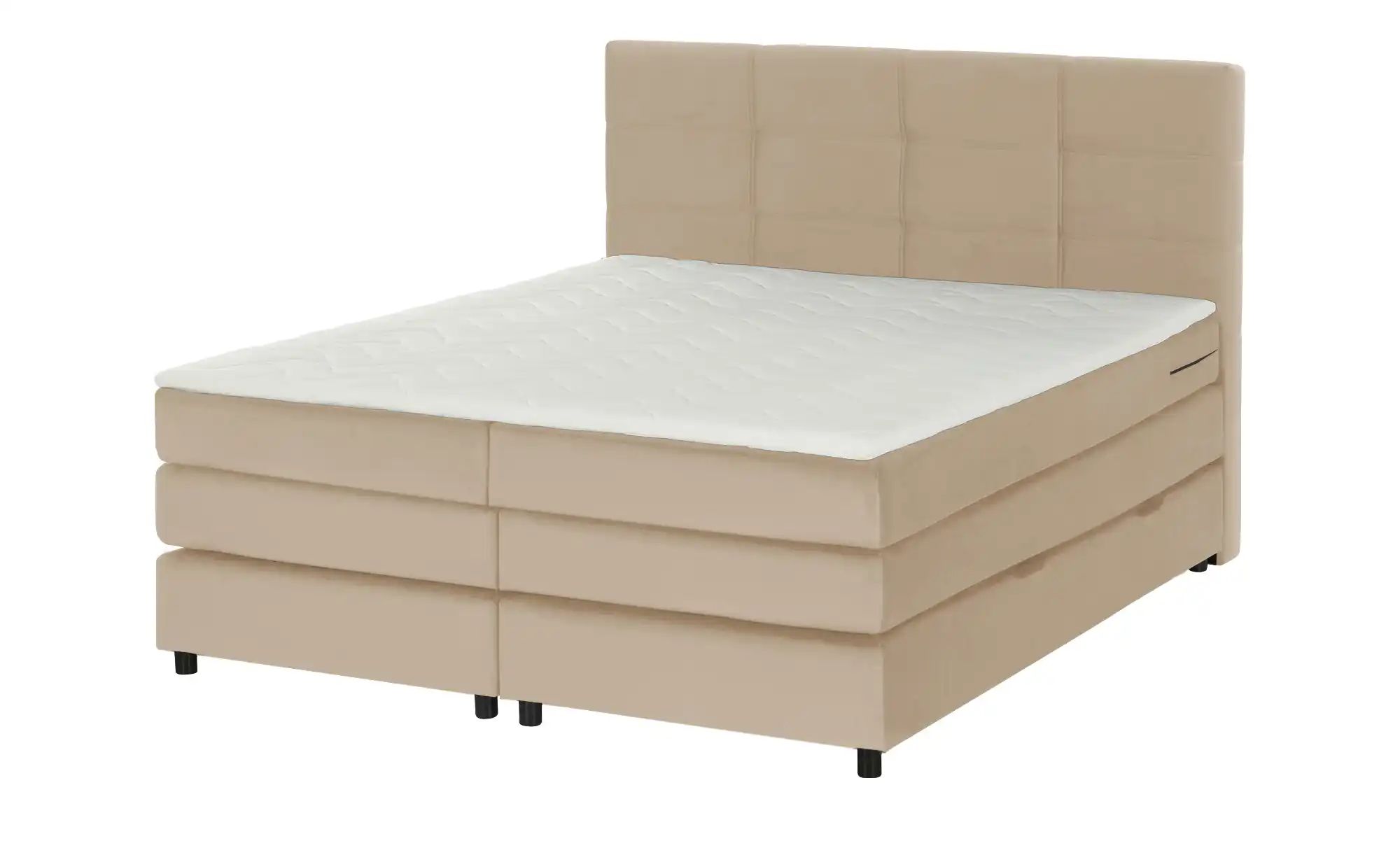 Thumbnail - Boxspringbett  Wind ¦ beige ¦ Maße (cm): B: 160 H: 152 Betten > Komfortbetten - Höffner