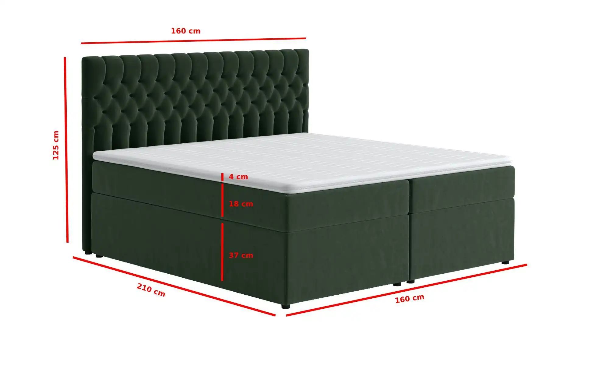 Boxbett mit Bettkasten Belek ¦ grün ¦ Maße (cm): B: 160 H: 125 Betten > Pol günstig online kaufen