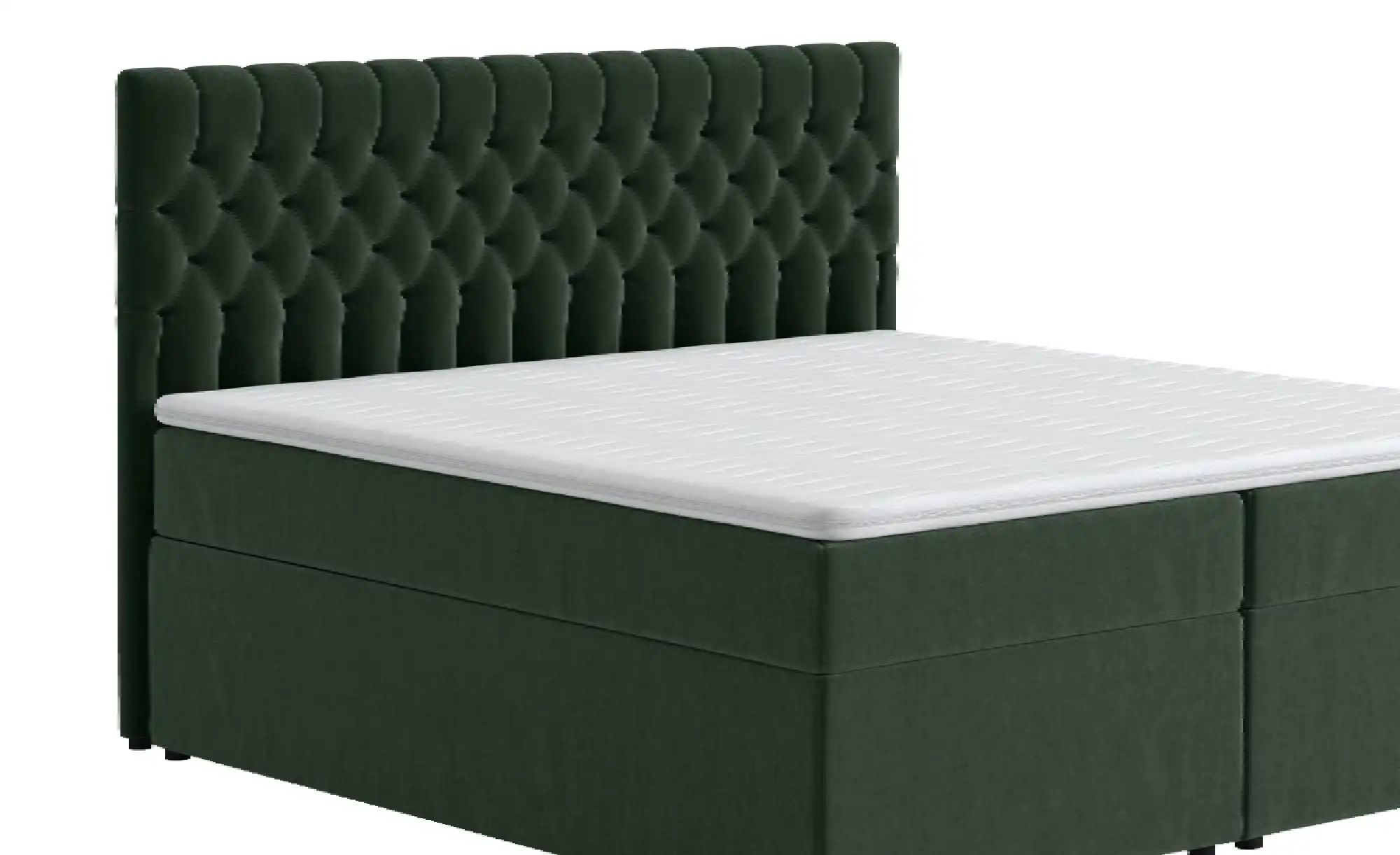 Boxbett mit Bettkasten Belek ¦ grün ¦ Maße (cm): B: 160 H: 125 Betten > Pol günstig online kaufen