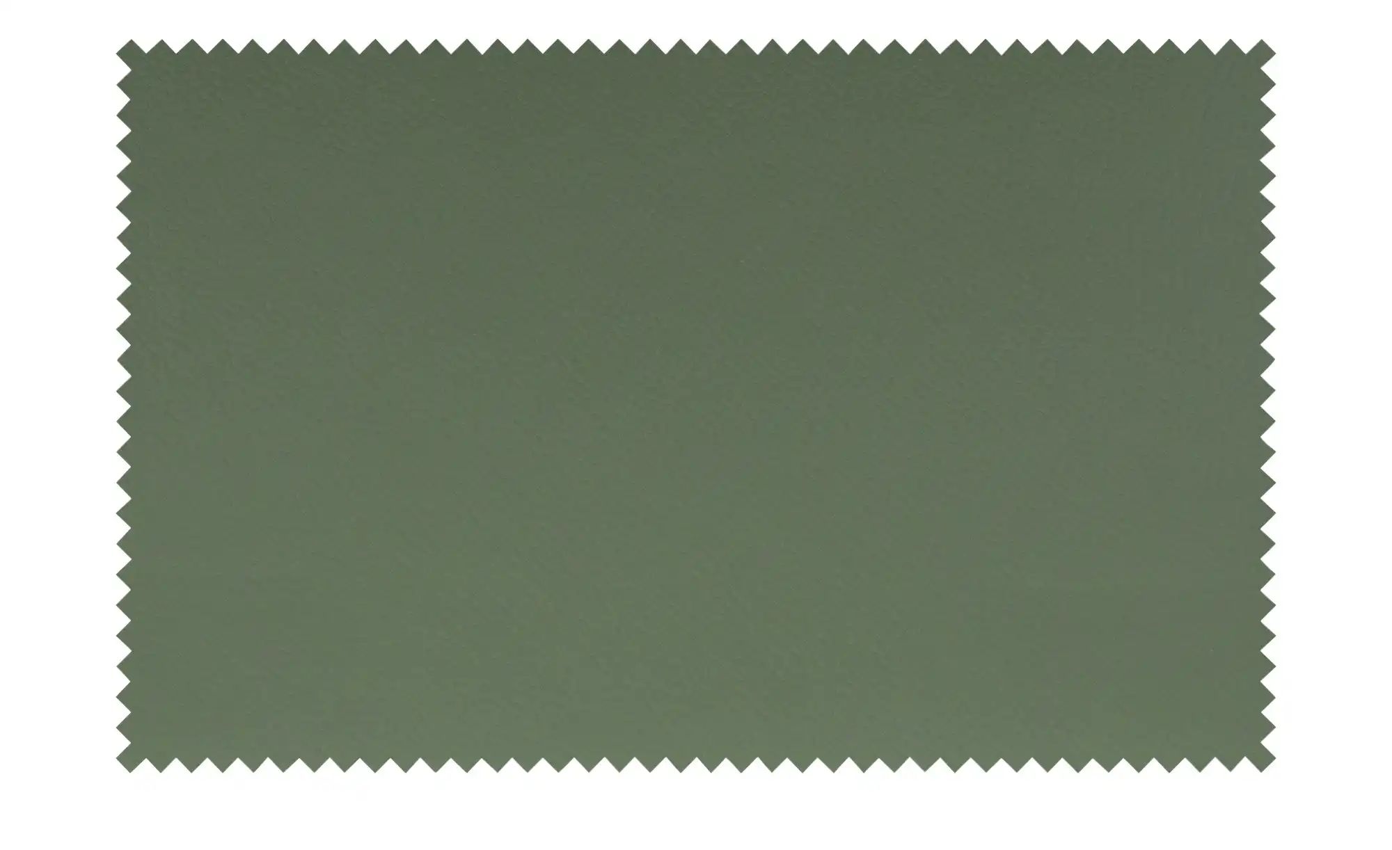 Thumbnail - uno Freischwinger Sammy ¦ grün ¦ Maße (cm): B: 45 H: 98 T: 56.0 Stühle > Schwingstühle - Höffner