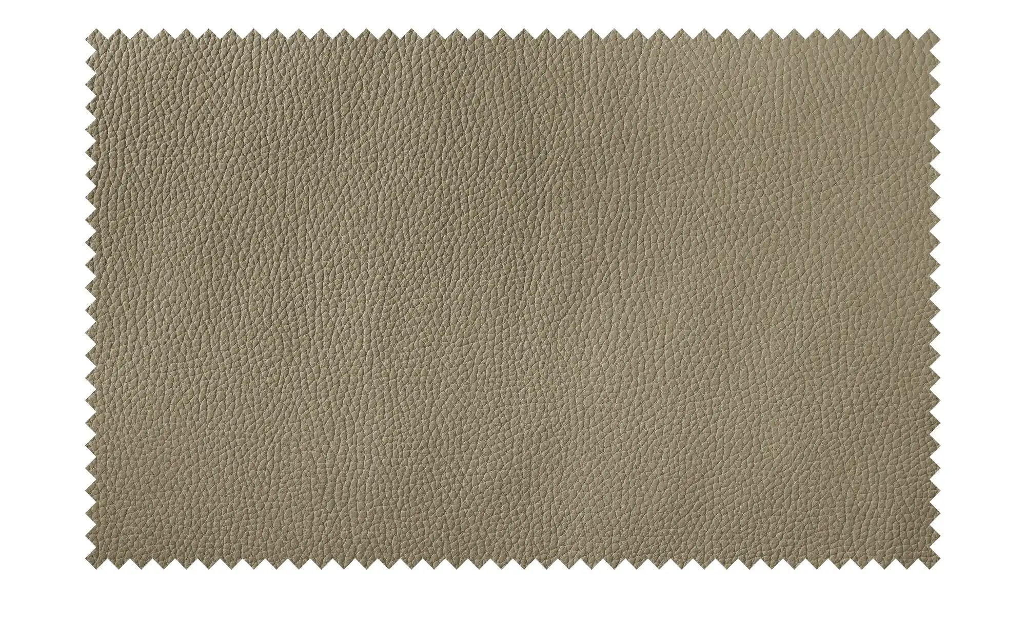 Wohnwert Einzelsofa Leder Mayla ¦ grün ¦ Maße (cm): B: 210 H: 109 T: 96.0 P günstig online kaufen