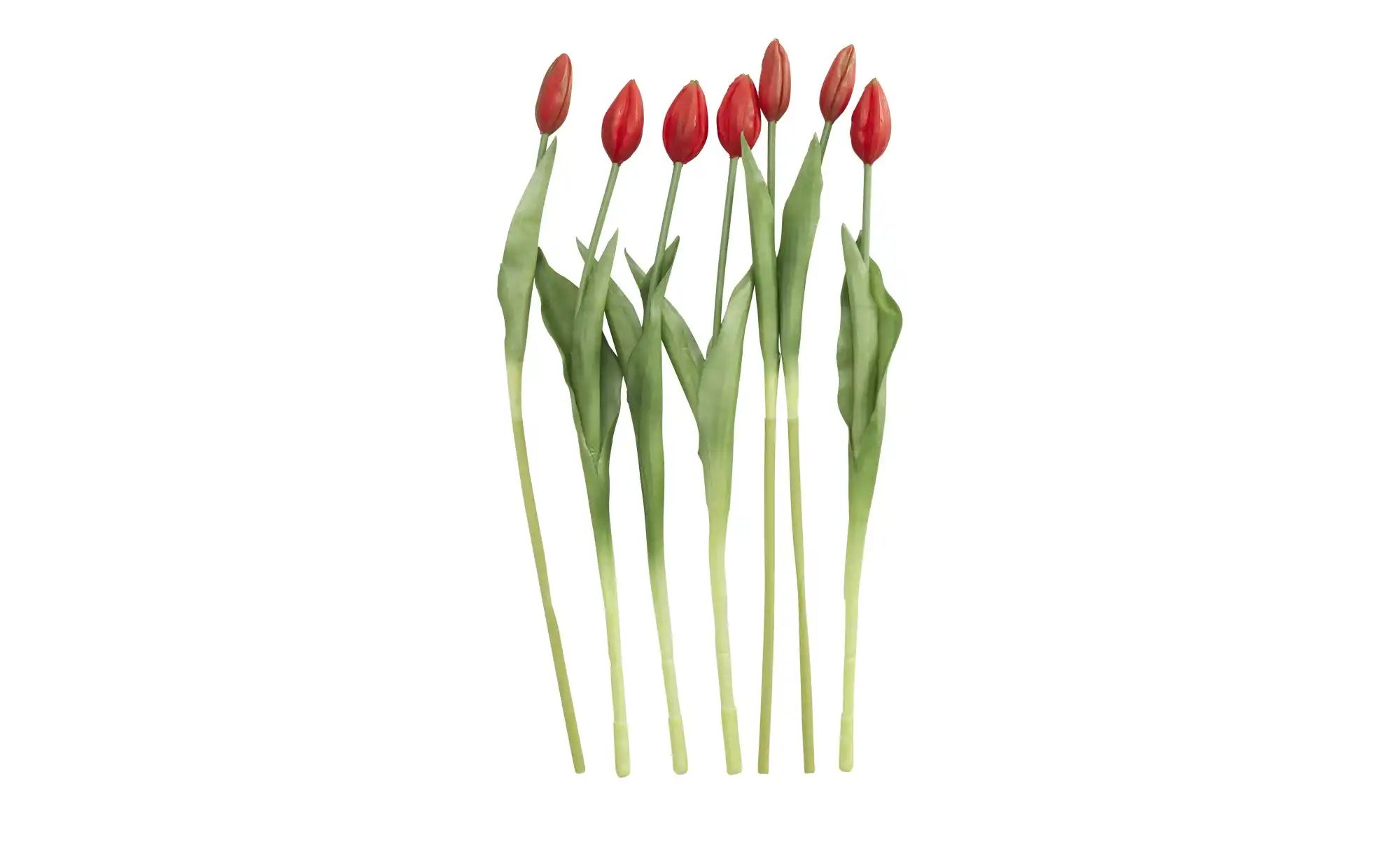 Tulpenbund  7-fach   ¦ rot ¦ Kunststoff,PVC ¦ Maße (cm): H: 44 Accessoires günstig online kaufen