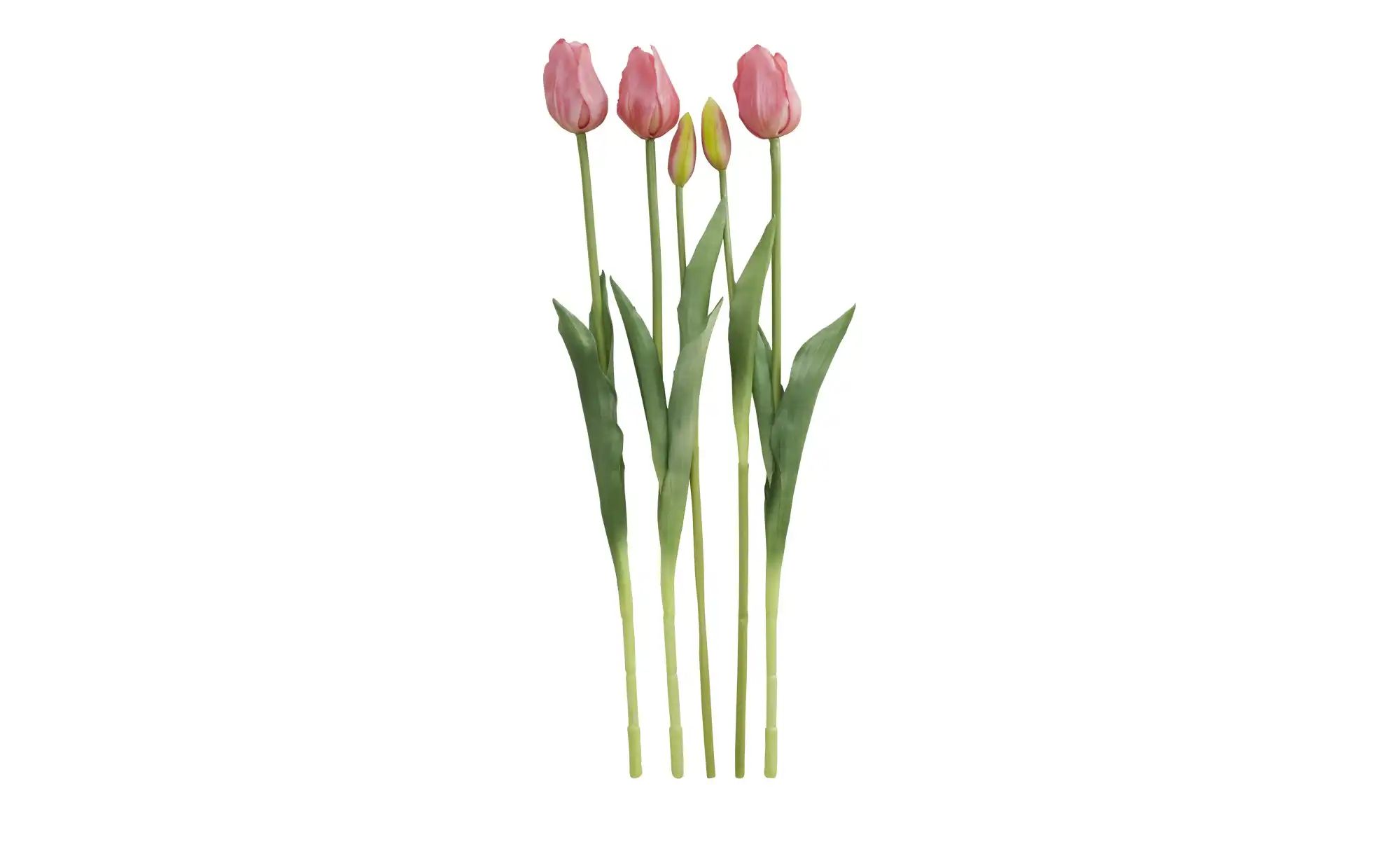 Französischer Tulpenbund ¦ rosa/pink ¦ Polypropylen, Kunststoff ¦ Maße (cm) günstig online kaufen