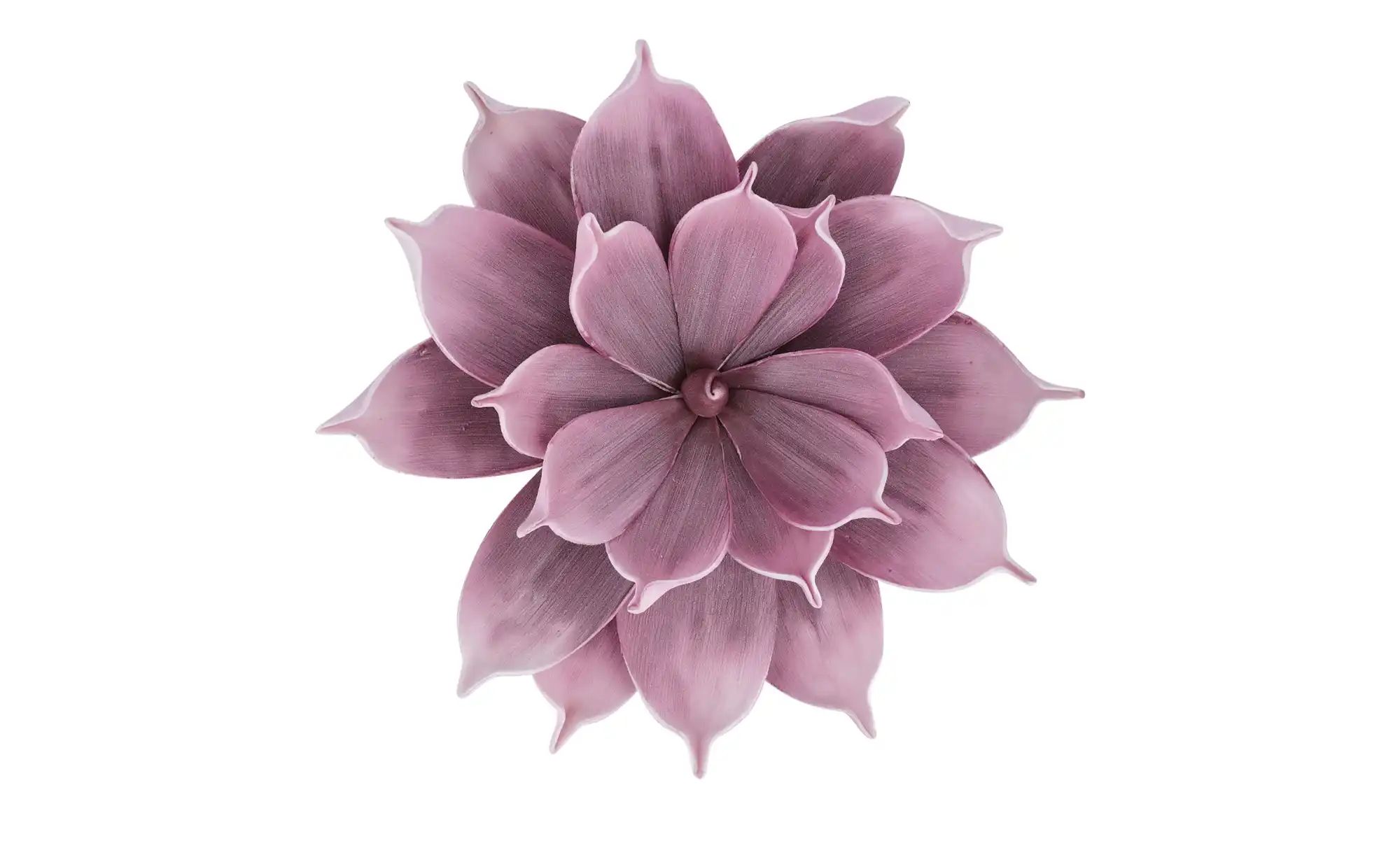 Soft Flower Aloe   ¦ rosa/pink ¦ Kunststoff,Metall ¦ Maße (cm): H: 30  Ø: 2 günstig online kaufen