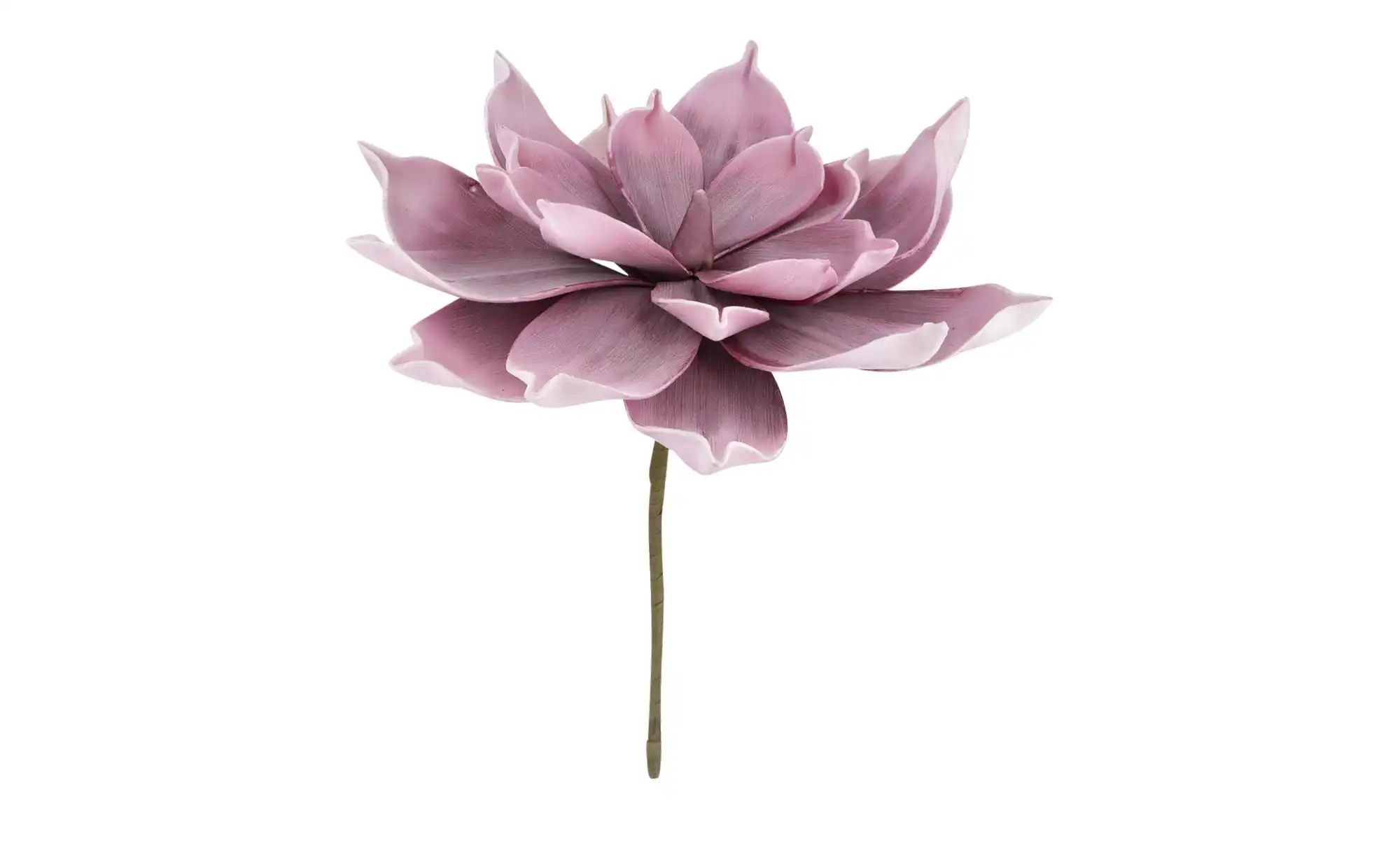 Soft Flower Aloe   ¦ rosa/pink ¦ Kunststoff,Metall ¦ Maße (cm): H: 30  Ø: 2 günstig online kaufen