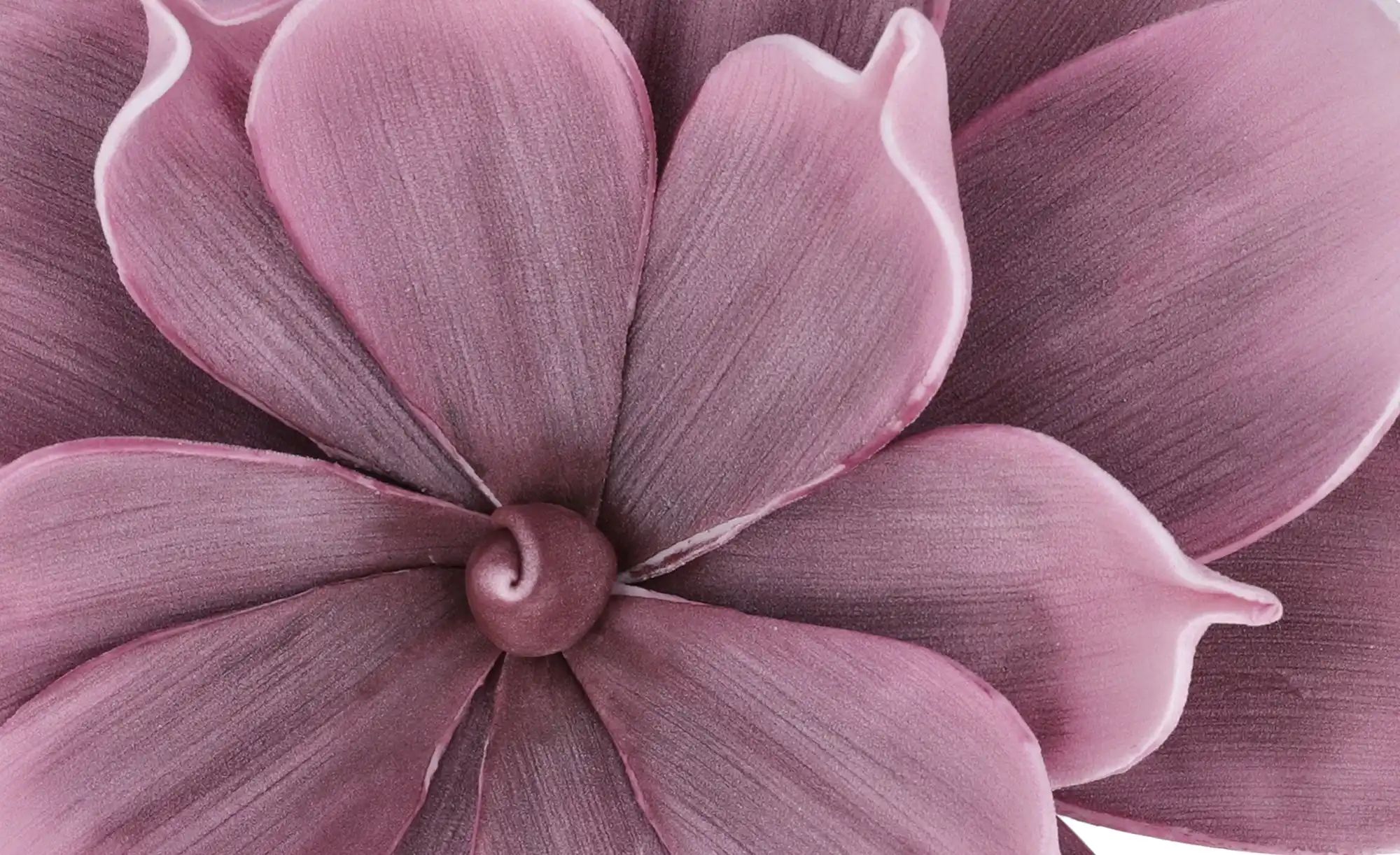 Thumbnail - Soft Flower Aloe   ¦ rosa/pink ¦ Kunststoff,Metall ¦ Maße (cm): H: 30  Ø: 25 Accessoires > Kunstblumen - Höffner