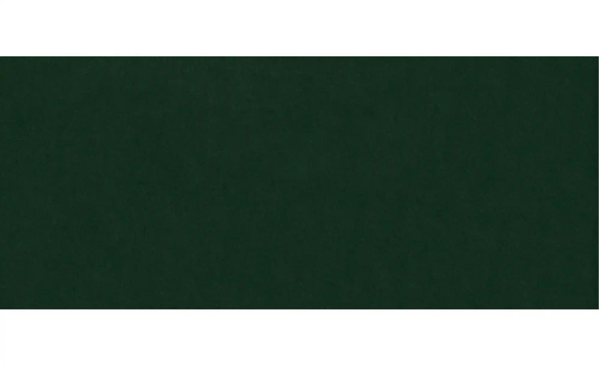 Polsterbett 120x200 Grün   ¦ grün ¦ Maße (cm): B: 120 H: 110 Betten > Komfo günstig online kaufen