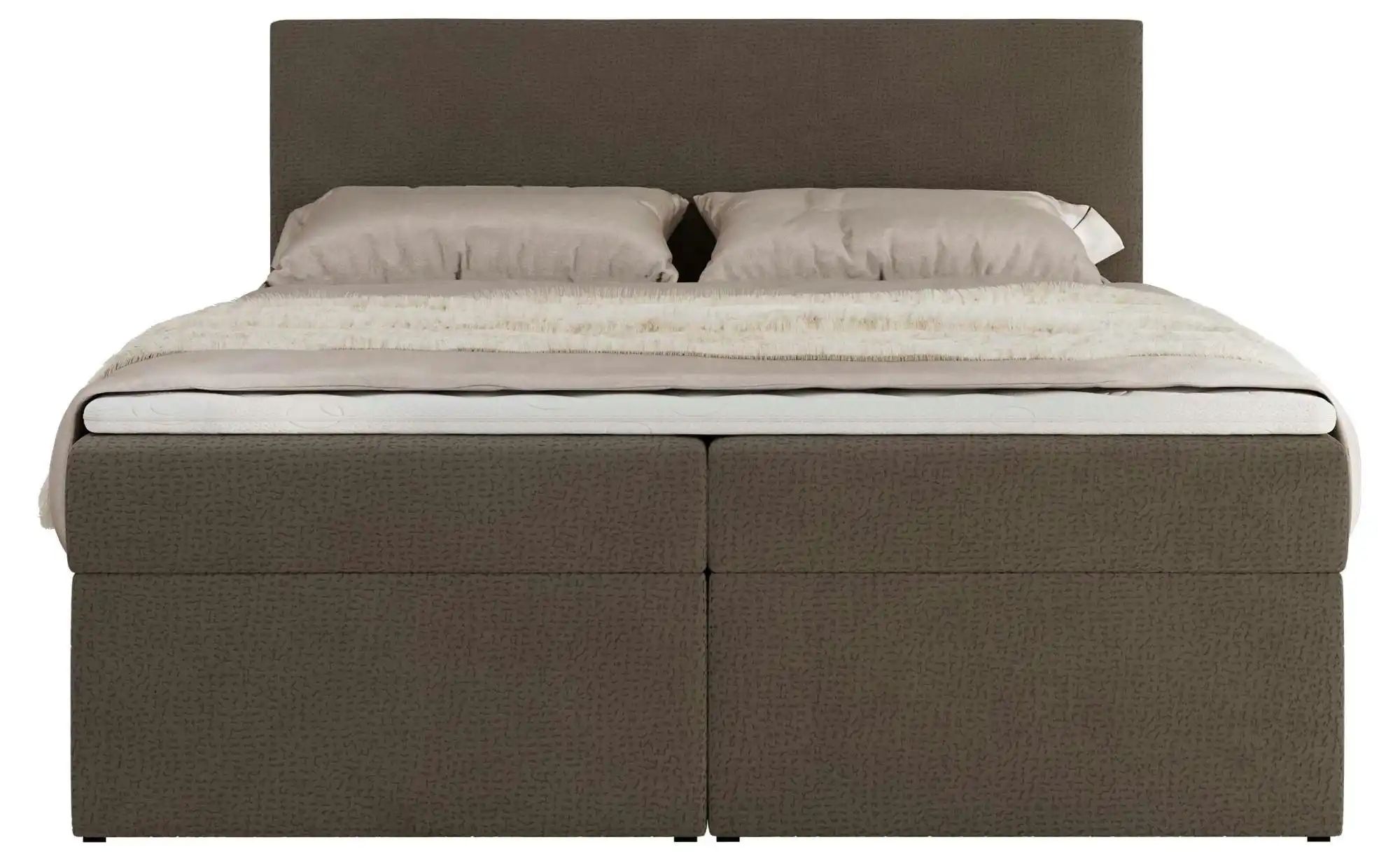 Boxbett mit Bettkasten Jaguar ¦ braun ¦ Maße (cm): H: 119 Betten > Komfortb günstig online kaufen