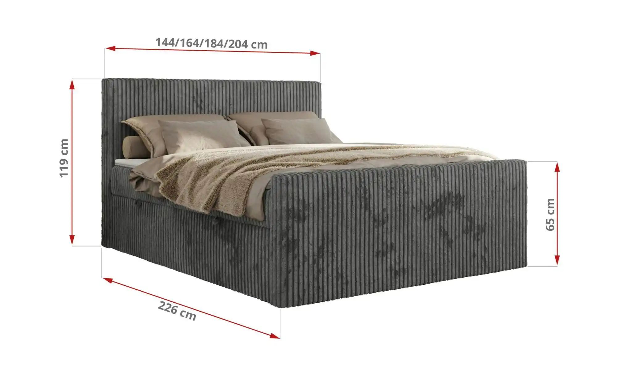 Boxbett mit Bettkasten Tiliano Duo ¦ grau ¦ Maße (cm): B: 204 H: 119 Betten günstig online kaufen