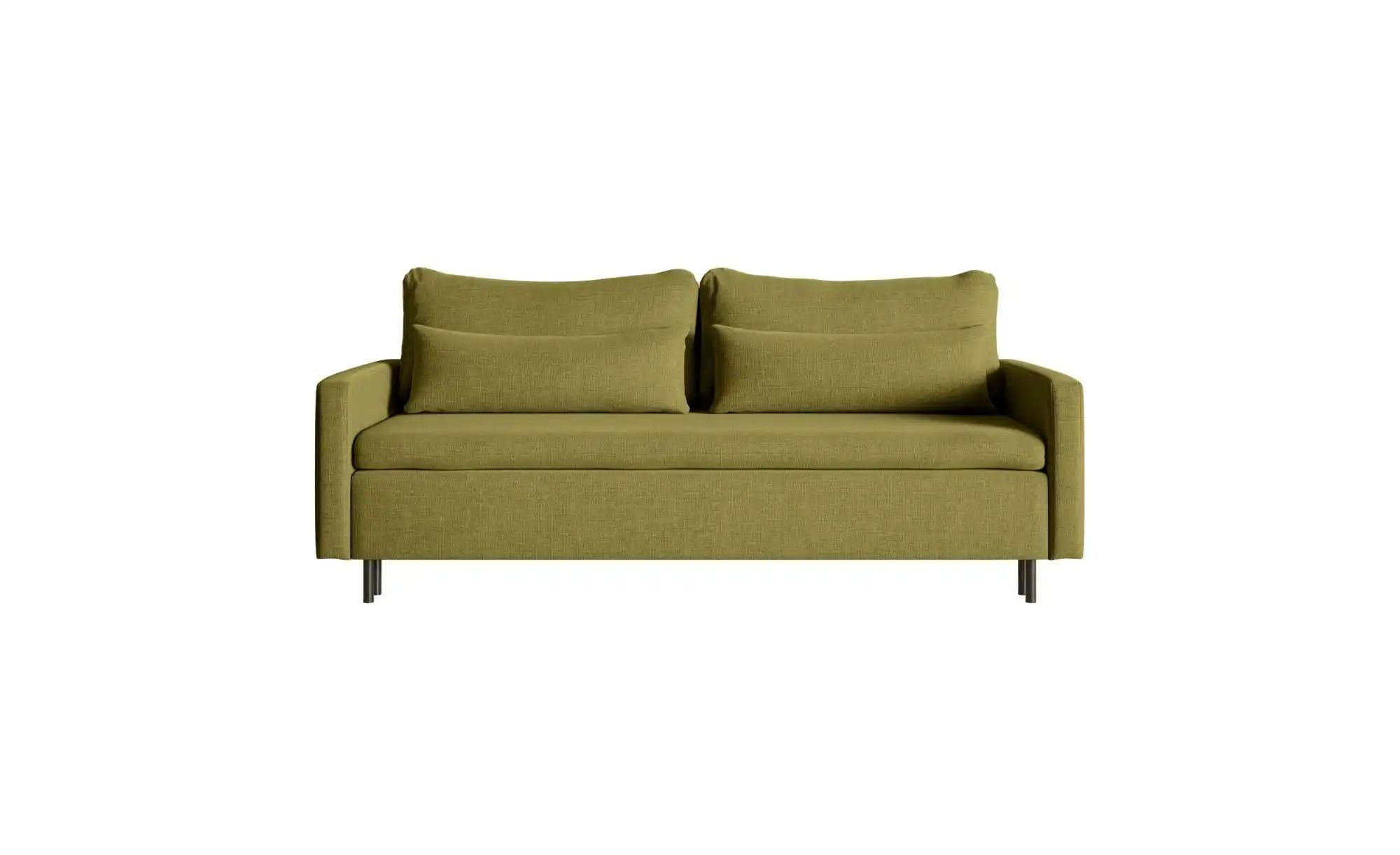 Selsey Einzelsofa mit Schlaffunktion Umpro  grün  Maße (cm): B: 220 H: 96 | 05902622588803