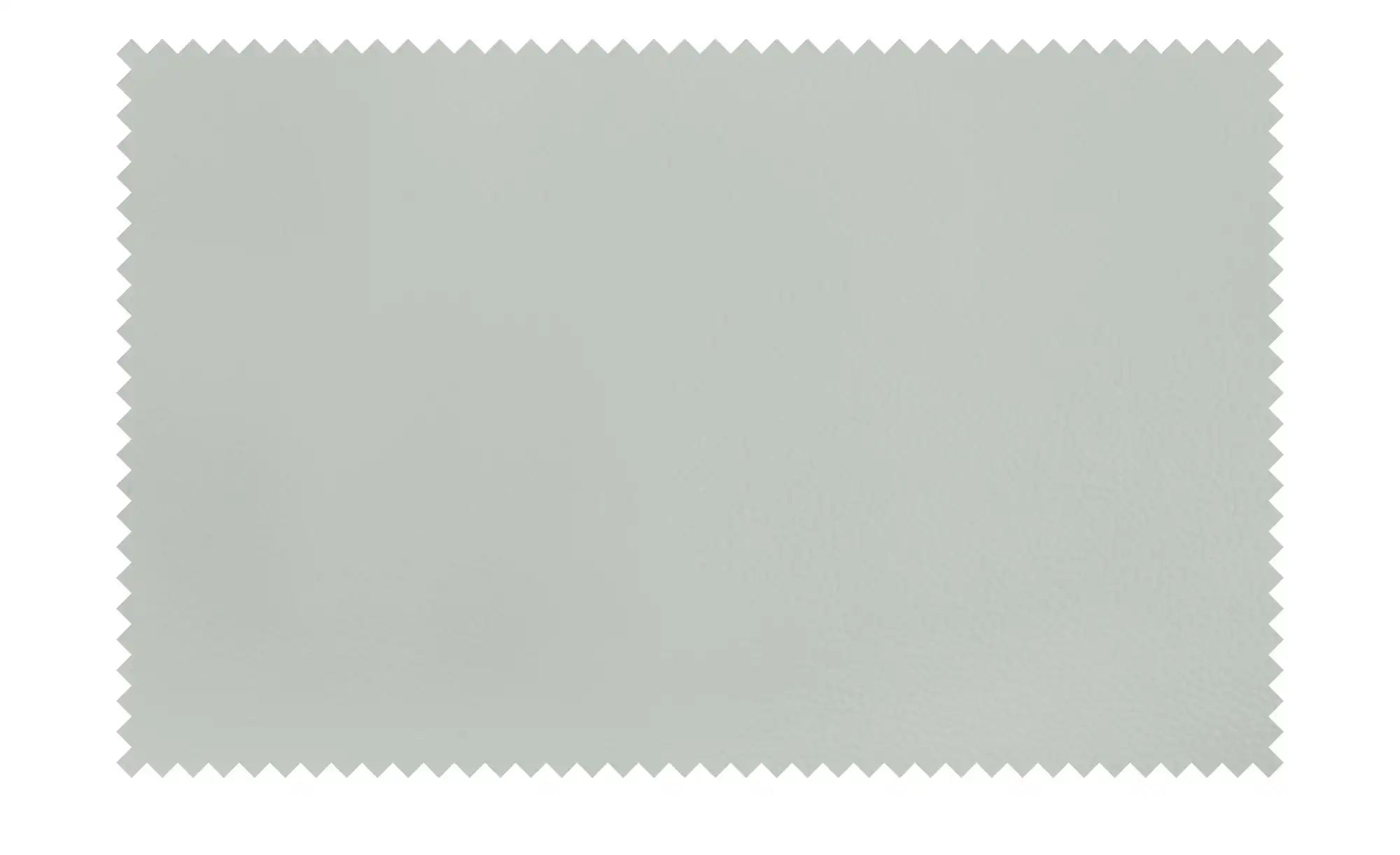 Thumbnail - Max Schelling Ledersofa mit Kufengestell Maximum ¦ grau ¦ Maße (cm): B: 204 H: 89 T: 97.0 Polstermöbel > Sofas > 2-Sitze...